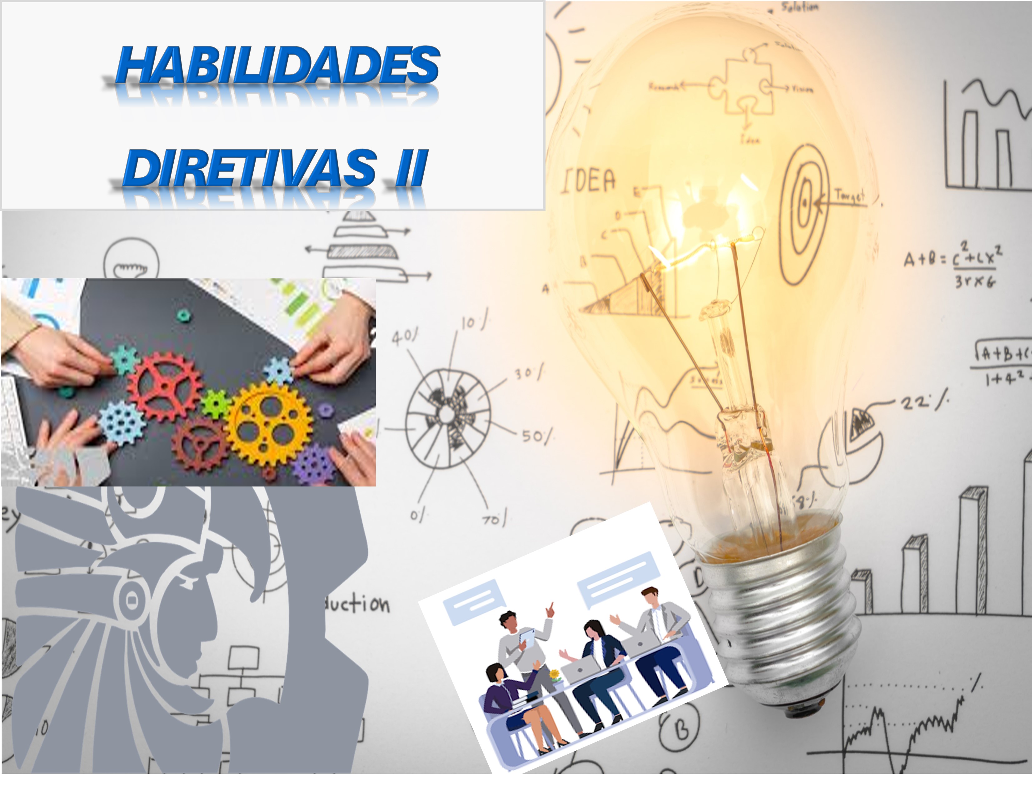 HABILIDADES DIRECTIVAS